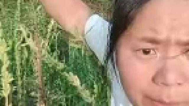 我为啥要上班……