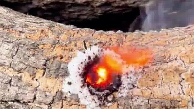 是不是没想到？