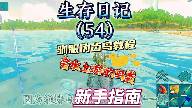 你们要的驯服伪齿鸟攻略