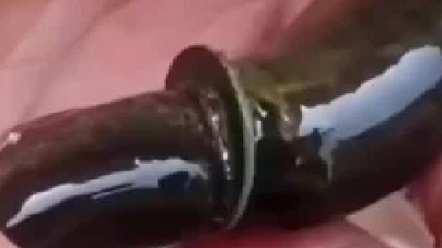 网友：感觉你要发达了！