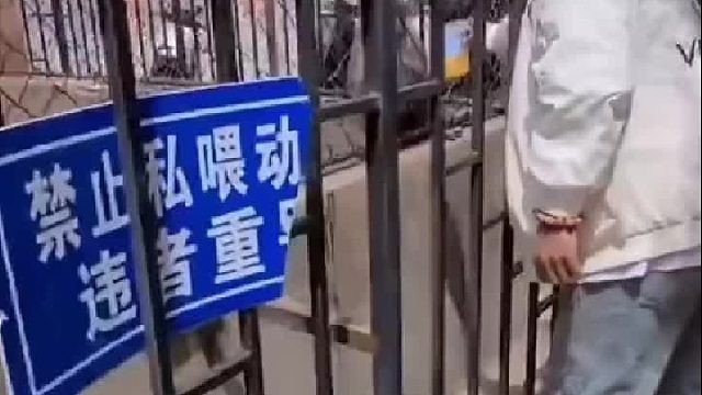 要不说猴子听话也得一天打三次。