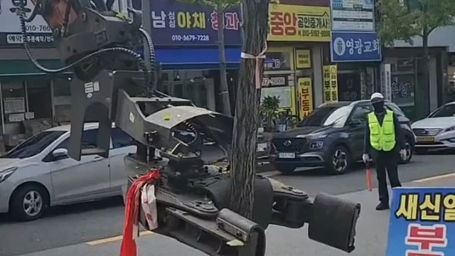 机械清理银杏果，快速高效，抖一抖就全下来了