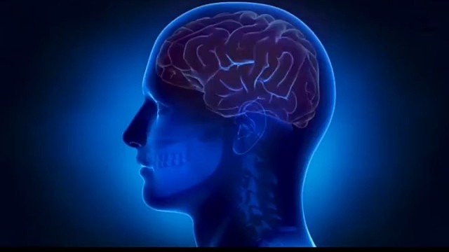 杭州同世堂中医李瑞义大夫根据临床多年经验,经过患者实践研究采取“驱风止动汤”纯中药治疗特发性震颤,通