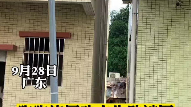 狗狗施展功夫失败被困。“马上就去救它下来”