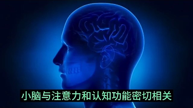和什么有關(guān)？