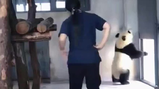 大朵你是懂出圈的