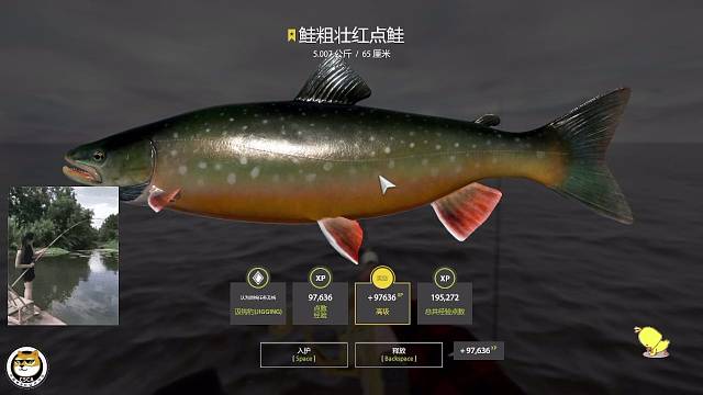 ㊗️：粗壮红点鲑，面条