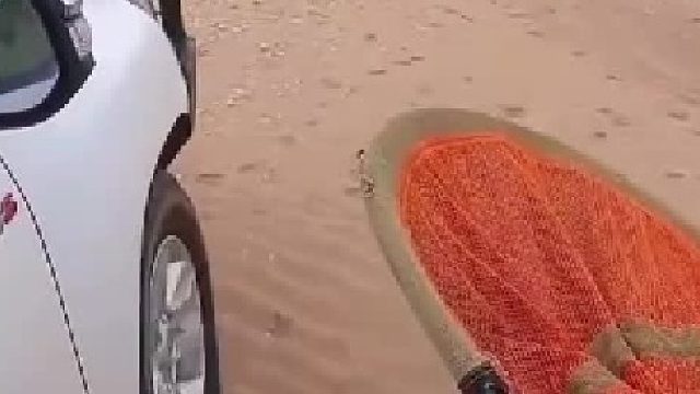 功德无量啊哥们儿