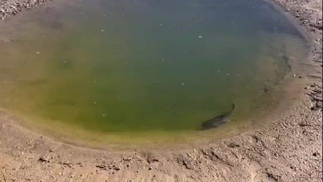 你不努力永远会被困在这里。