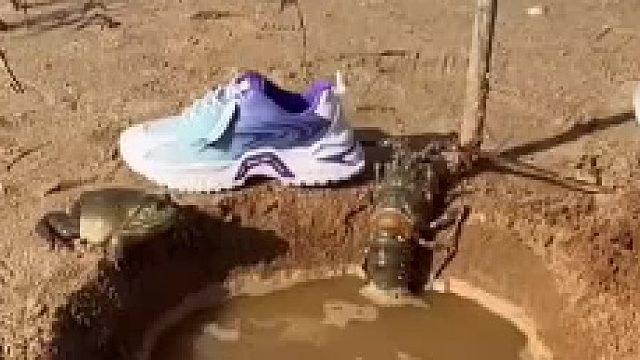 这是什么情况？？