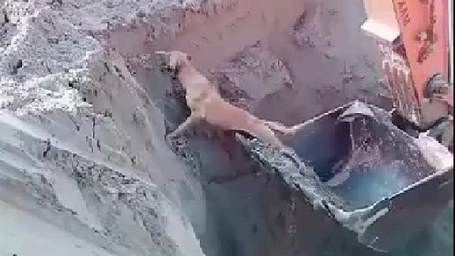 最后一抛！所有的功德都没了