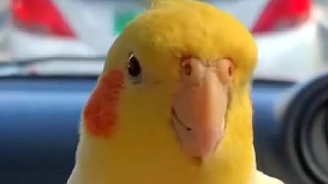 放假出去就就是开心