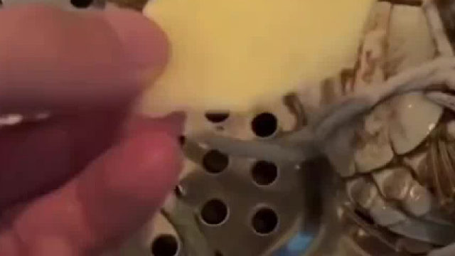 螃蟹：你人还怪好嘞！