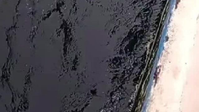 刚开始我以为将近2米呢