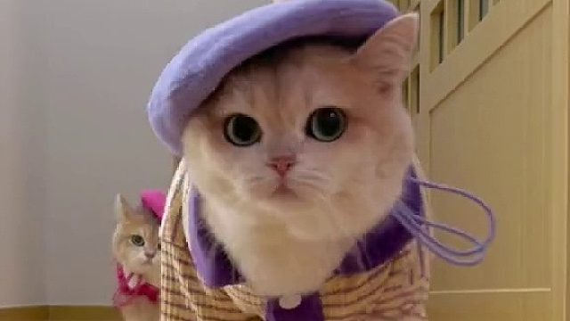 让一下，超模团队来了