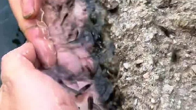 这种地方住起来安逸