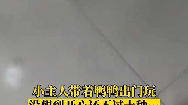 小主人带着鸭鸭出门玩，下一秒意外就发生…