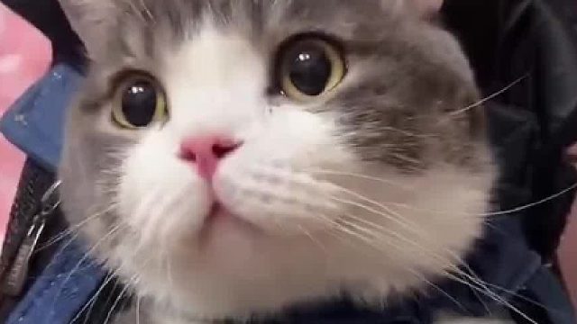 怎么这么爱洗头呢