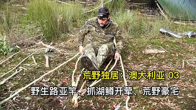 10人塔斯马尼亚荒野求生，抓湖鳟开荤、野生路亚杆、荒野守瓜棚