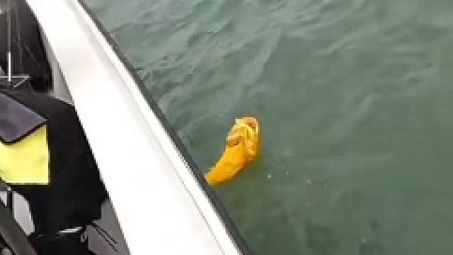 这一条跑了的话，大腿都可以拍断了