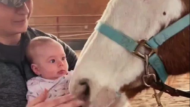 农场主带着他的女儿来看马，没想到马儿主动过来亲她