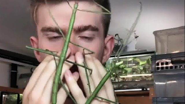 国外小哥养了许多稀奇古怪的爬宠，从起初的发烧友如今却成当地时尚咖