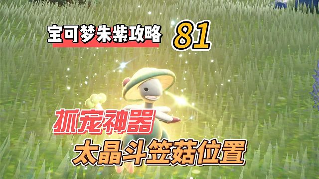 宝可梦紫攻略81：抓宠神器，太晶斗笠菇在哪里