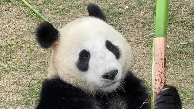 这样的生活你羡慕了吗？