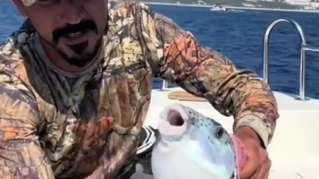 这是什么鱼，牙口这么好……