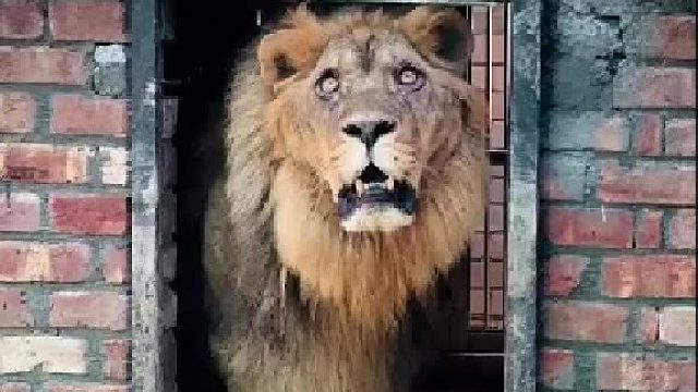 这小脾气暴躁的很，谁都不服