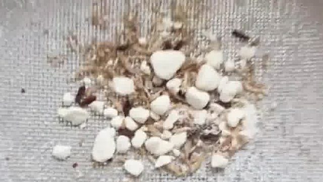 第一眼：面粉还过筛，好活当赏 第二眼：...