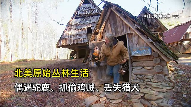 山地硬汉：偶遇1200磅驼鹿、抓偷吃鸡头贼、寻找走散猎犬
