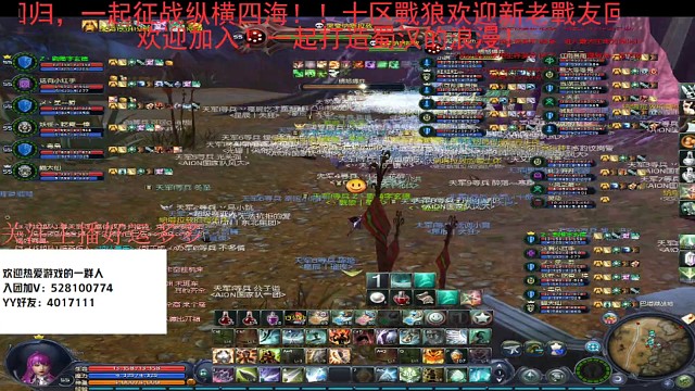 战狼入驻十区天族