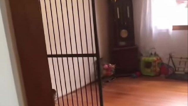 当鹦鹉“自嗨”被发现时，在一只鸟身上读懂了“尴尬”