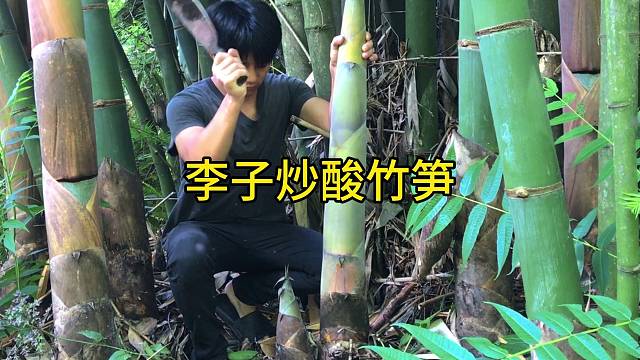 这样做的酸笋七天变酸，酸笋炒李子
