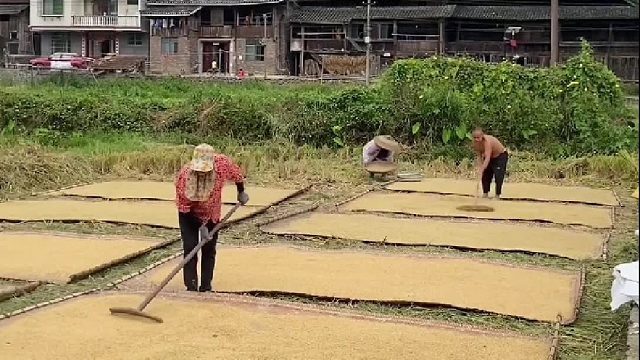 晒在公路上的来看看