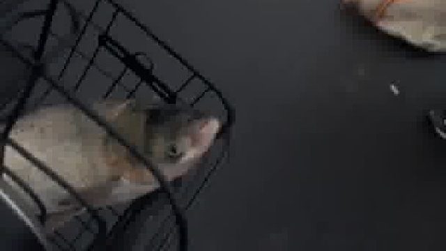 女子中秋遇2位钓鱼大哥...