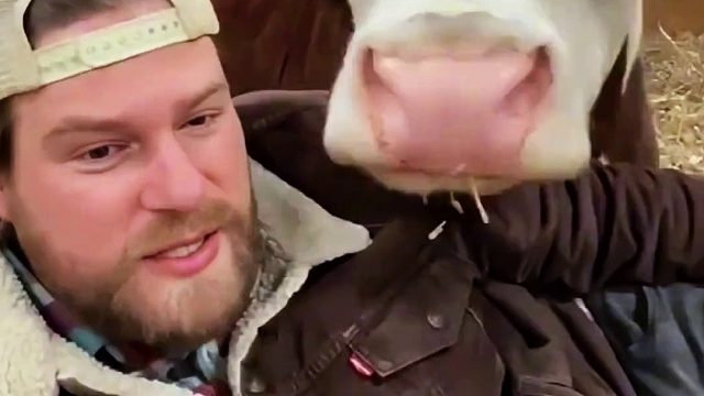 小伙曾说小动物们的感情最纯粹，三十年后实现了自己的梦想