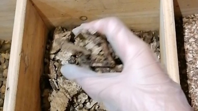 手抖？早发现早治疗早恢复