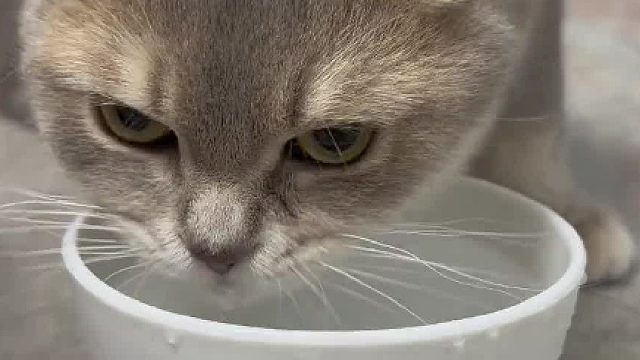 为了让我提早回来 故意把水打翻 把自己渴成这样真有你的