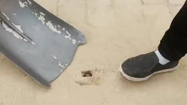 惊不惊喜！意不意外！