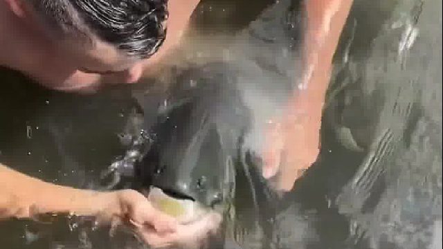 搞不搞得好不知道，我怕鱼把我给吃了