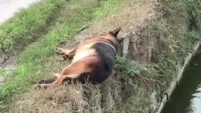 发生什么事了？_我在哪？