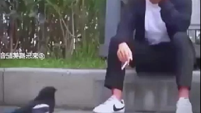 为什么高铁上不能抽烟了看到了吧