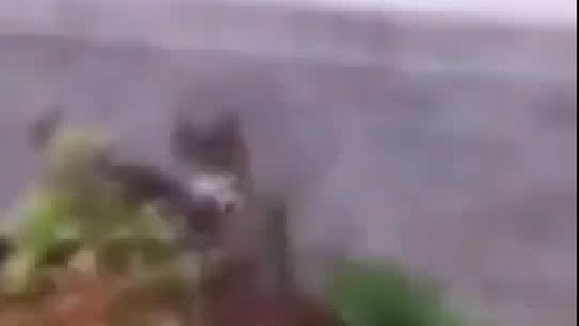 犀利的眼神为何做出憨厚的表情