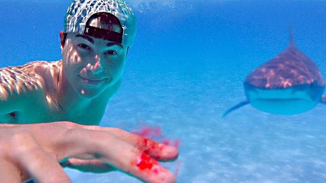 鲨鱼对“人血”有多敏感？男子亲身试验，鲨群立马“闻腥赶来”