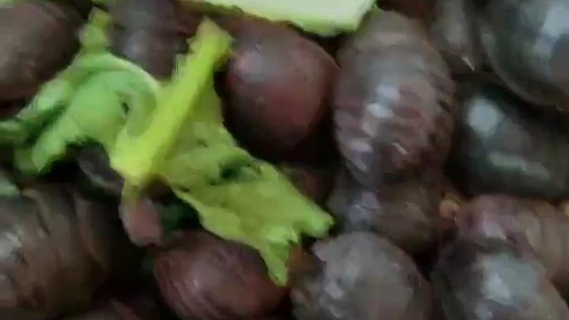 创业养殖欢迎您的到来