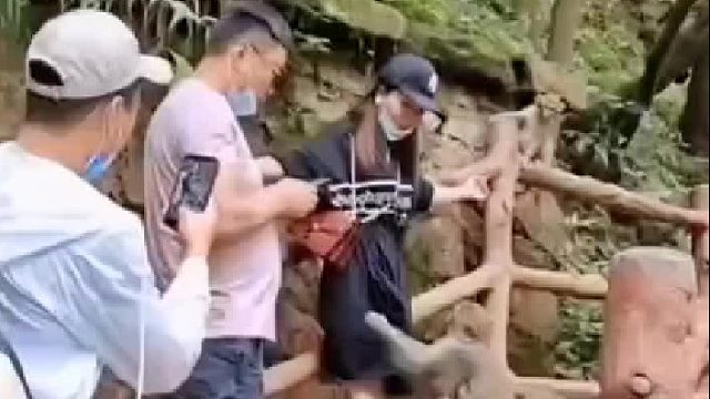 这猴子太坏了！坏的出奇！