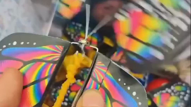 礼物蝴蝶负责制造惊喜