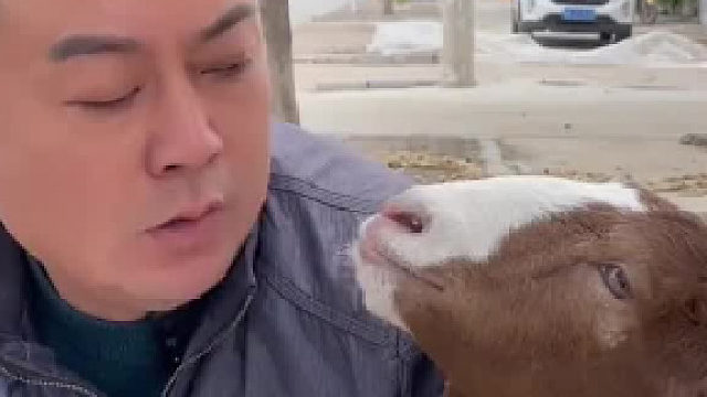 嫂子看着不像本地人呀